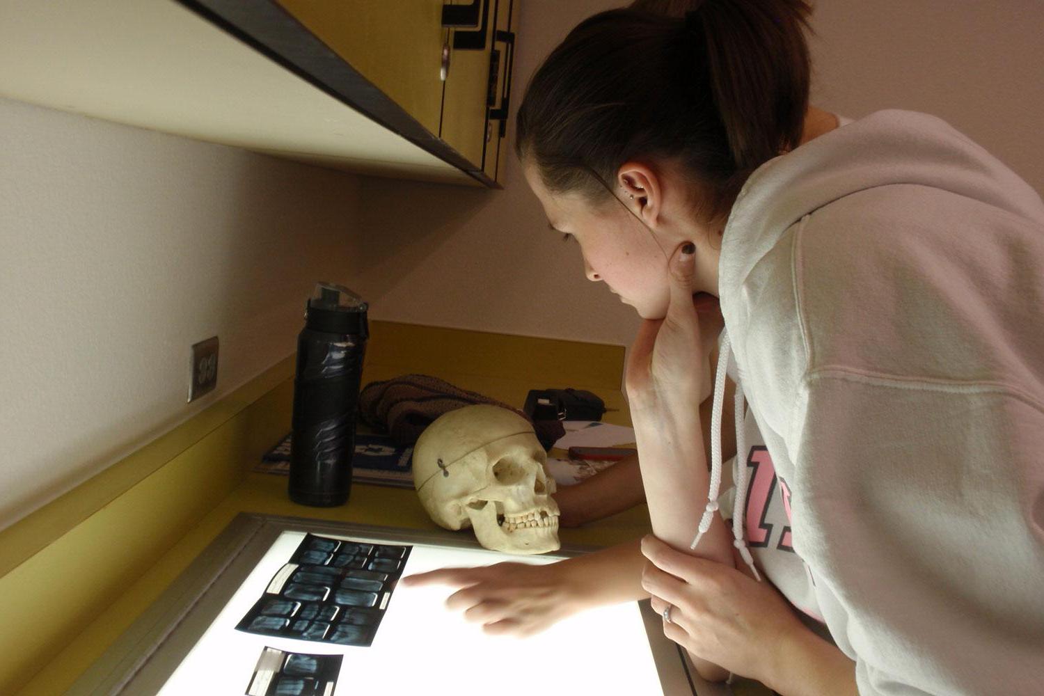 Forensic Anthropology student Nicole Arizmendi identifies a human skeleton by matching it to its dental records.